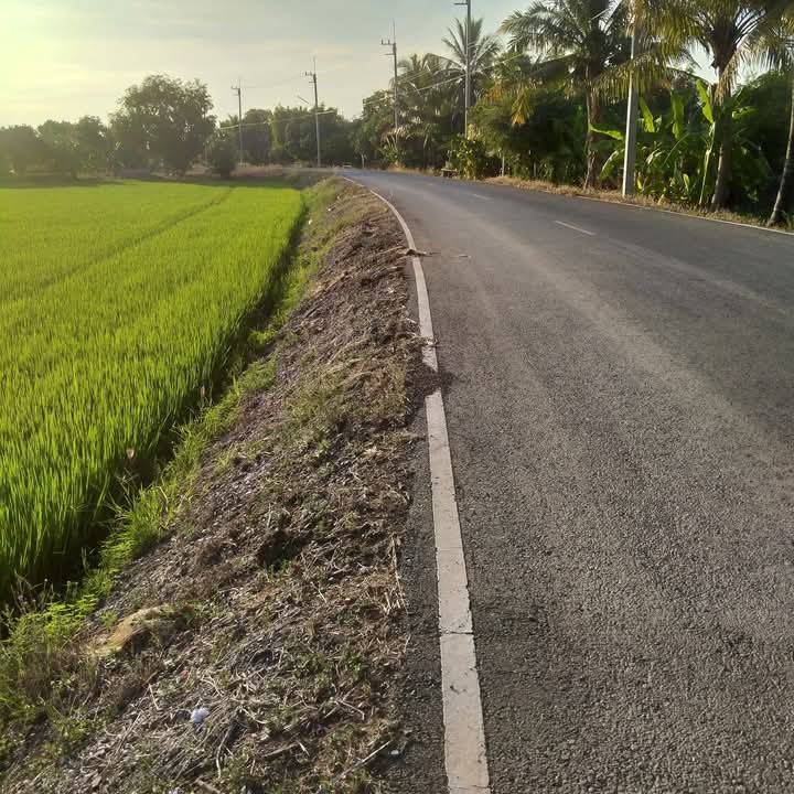 6801-116 ขาย ที่นา 258 ไร่ ใกล้มศว.นครนายก 