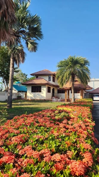 ให้เช่าบ้านเดี่ยว 2ชั้น 1ไร่กว่าๆๆพื้นที่รอบบ้านเยอะบรรยากาสดี 3 ห้องนอน 3 ห้องน้ำถนนพัทยา