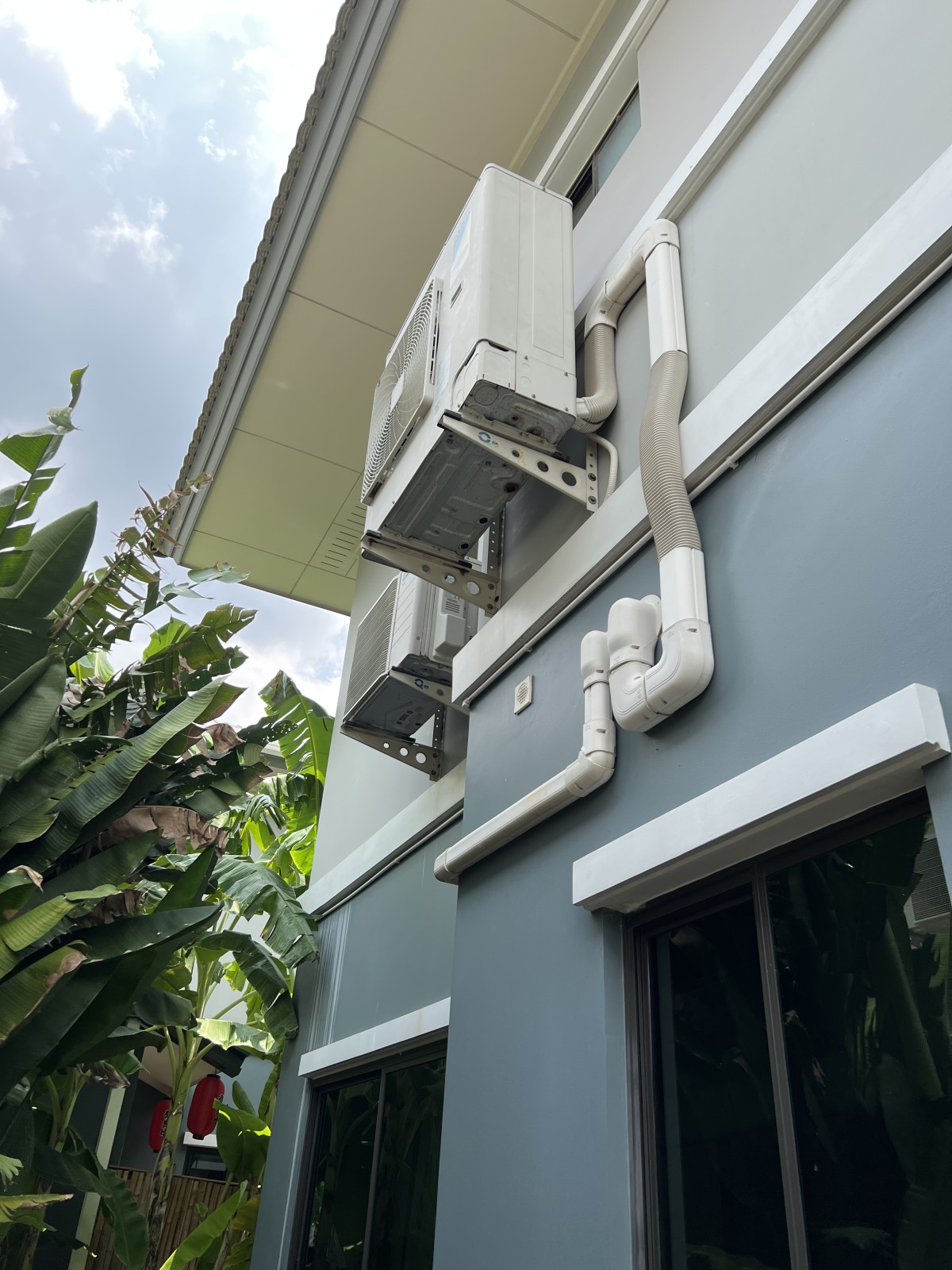 The plant exclusique พัฒนาการ ใก้ลทองหล่อ สวนหลวง ร.9