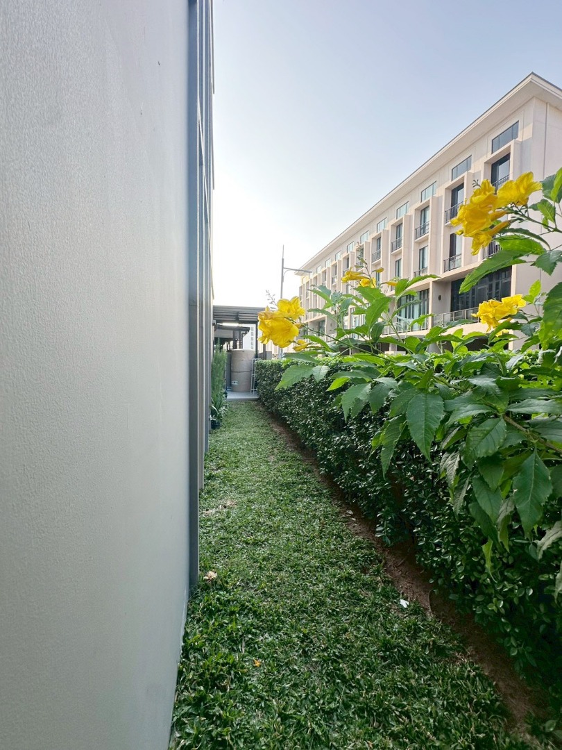 6901-101 ให้เช่า ทาวน์โฮม 4 ชั้น เสนานิคม รัชโยธิน Patio Ratchayothin BTS เสนานิคม 3 ห้องนอน