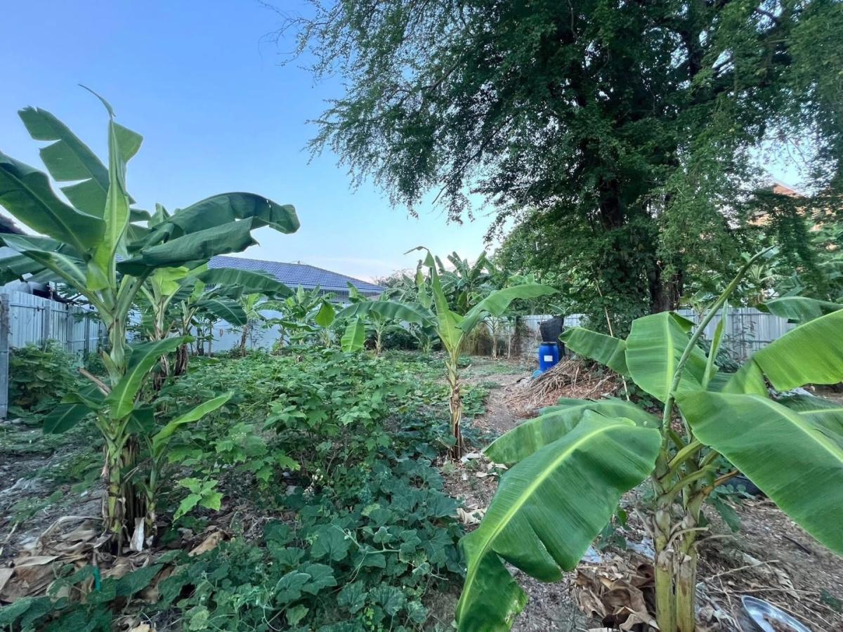 6902-028 ขาย ที่ดิน 101 ตรว.ถมแล้ว นาคนิวาส37 ห่างจาก เซ็นทรัลอีสวิลล์ 2 กม. เพียง 7 นาที