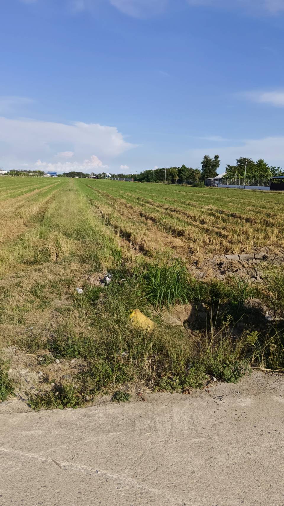 ขายที่ดินเปล่าติดถนนคลอง 9 ลำลูกกา จังหวัดปทุมธานี