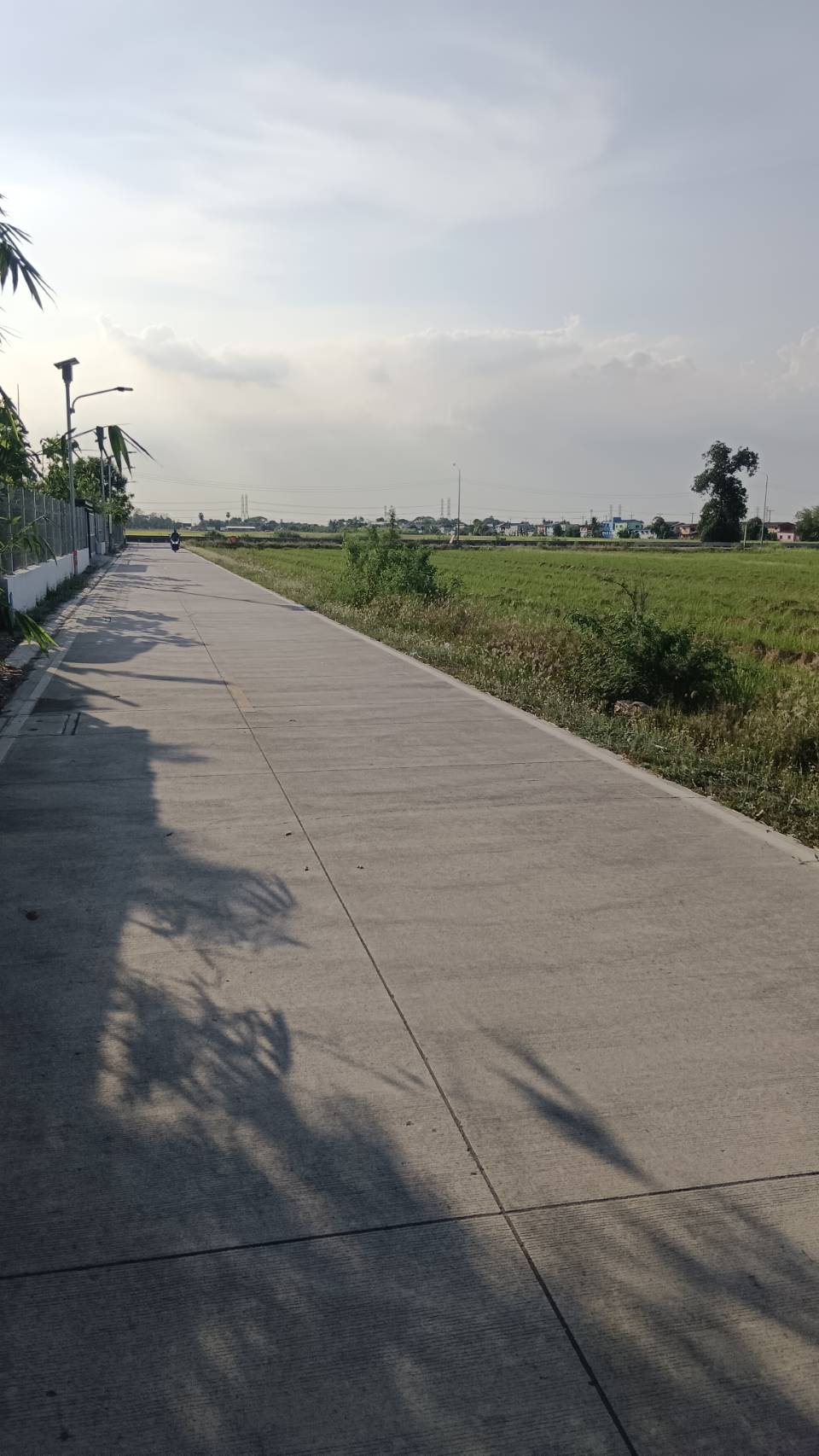 ขายที่ดินเปล่าติดถนนคลอง 9 ลำลูกกา จังหวัดปทุมธานี